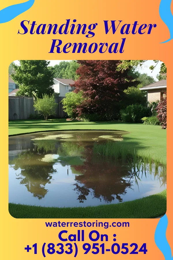 Standing Water Removal in White Bluff, TN
